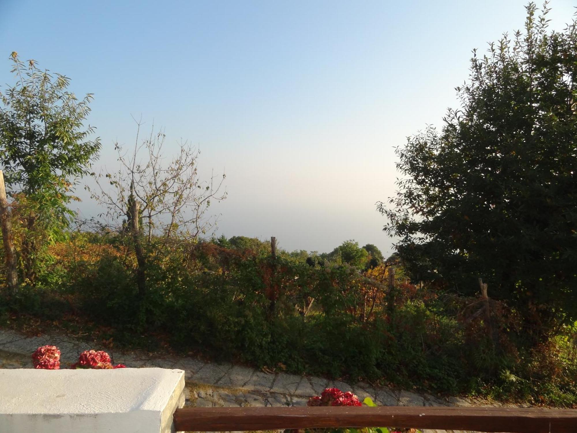 Villa Enallaxis Áyios Dhimítrios Δωμάτιο φωτογραφία